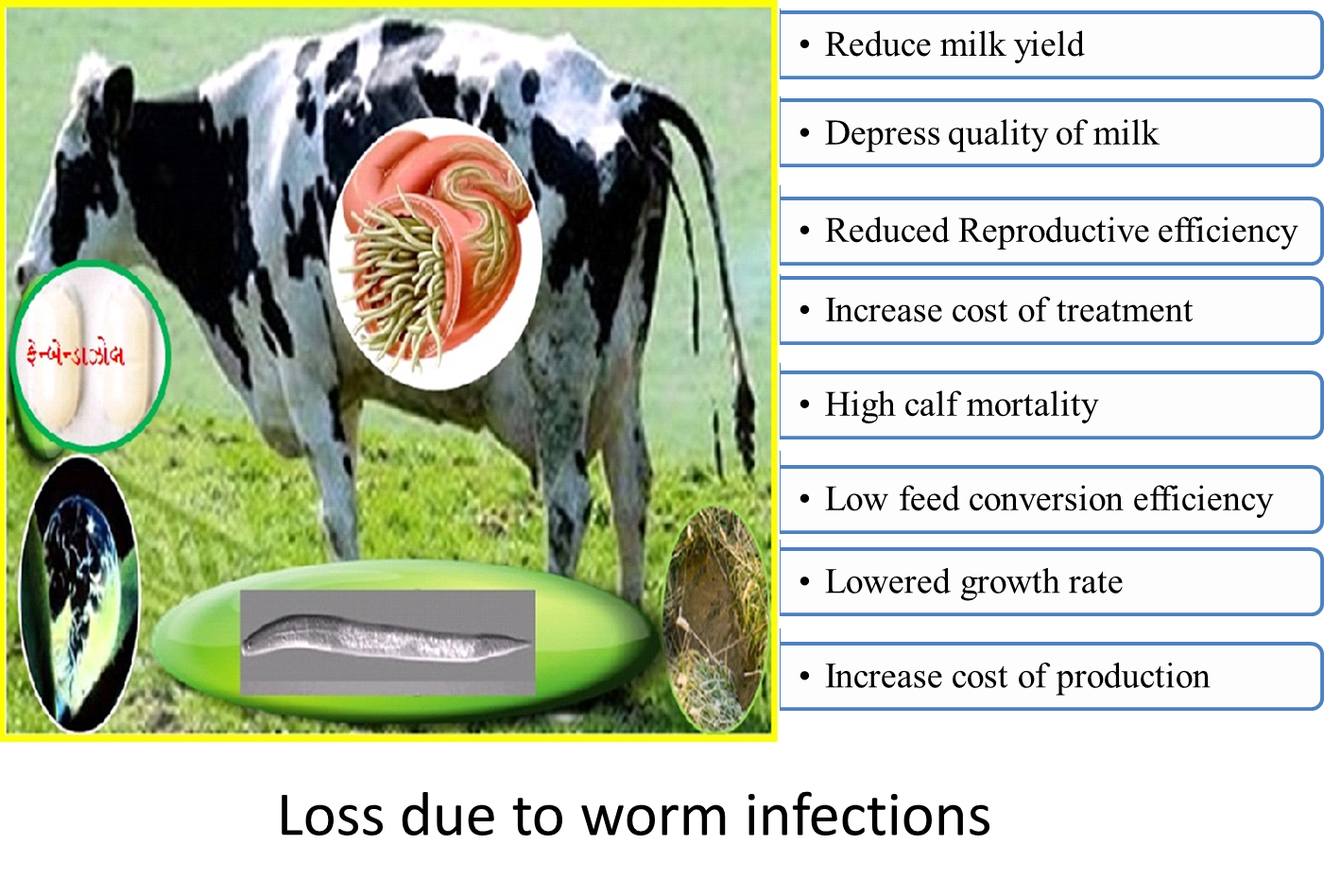 Prevention and Control Program in Animal Husbandry - Dudhsagar Dairy | Dudhsagar Dairy