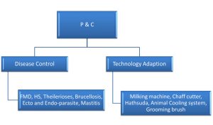 Animal Health Prevention and Control
