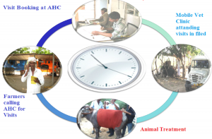 Animal Health Treatment