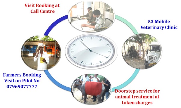 Animal Health Treatment